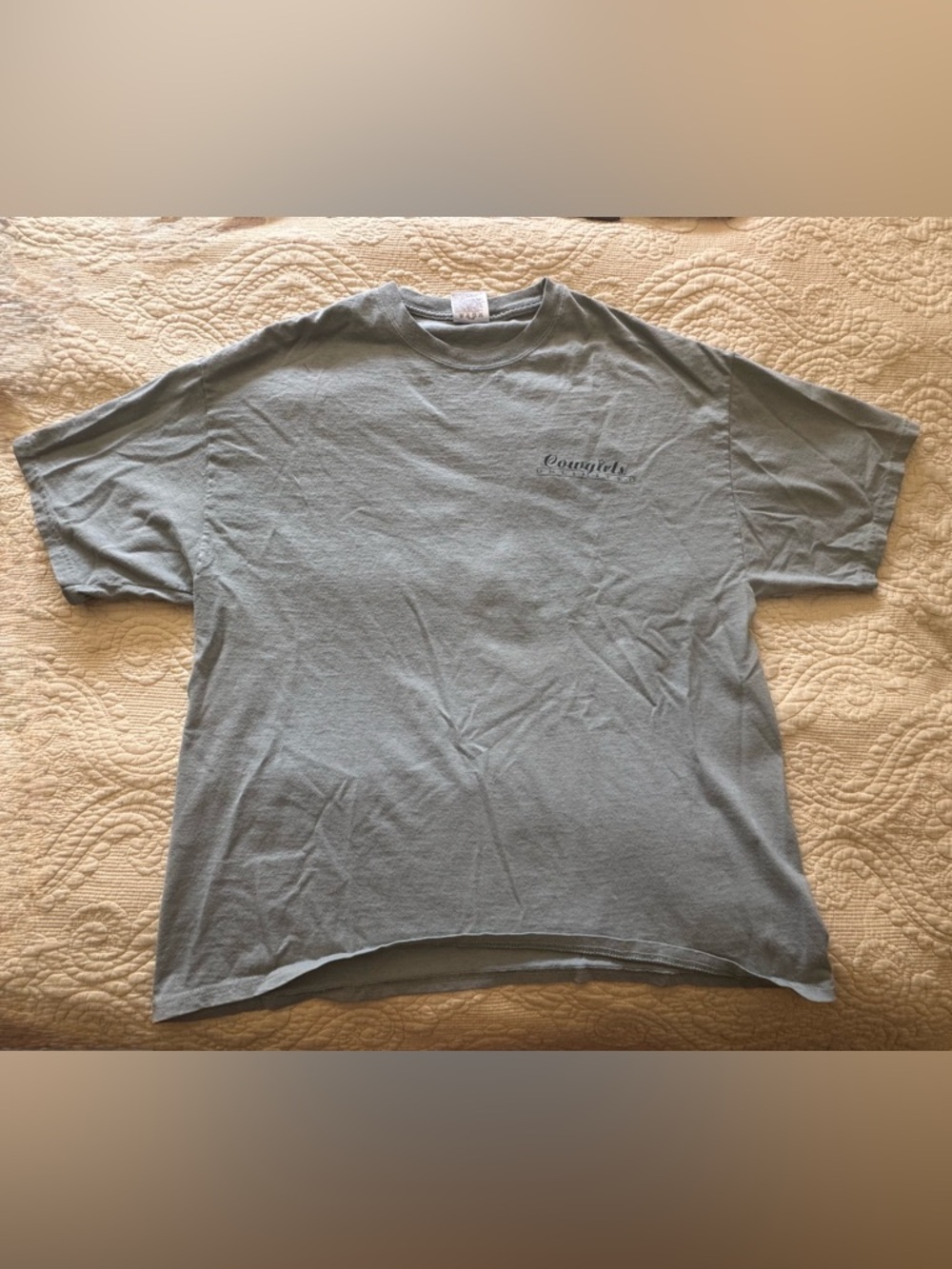 Cowgirl TShirt Port and Company Womens Short-Sleeve Tee in Light Sage